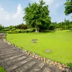 Comprare il rasaerba, i consigli migliori da seguire