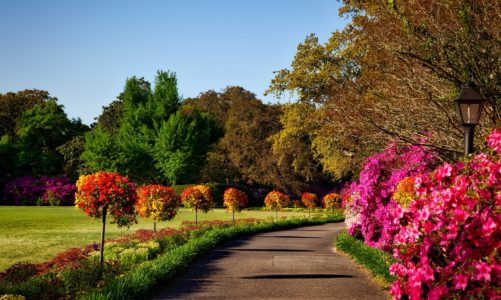 Appartamenti con giardino: pro e contro di questa soluzione abitativa